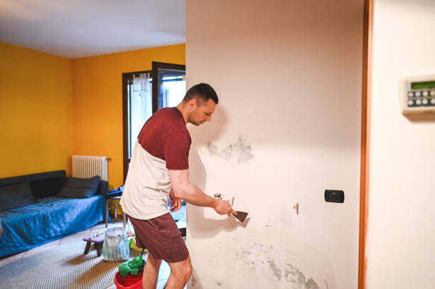 Best Certified Mold Removal  in Norton Center, MA