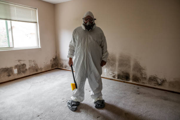 Best Crawl Space Mold Removal  in Norton Center, MA